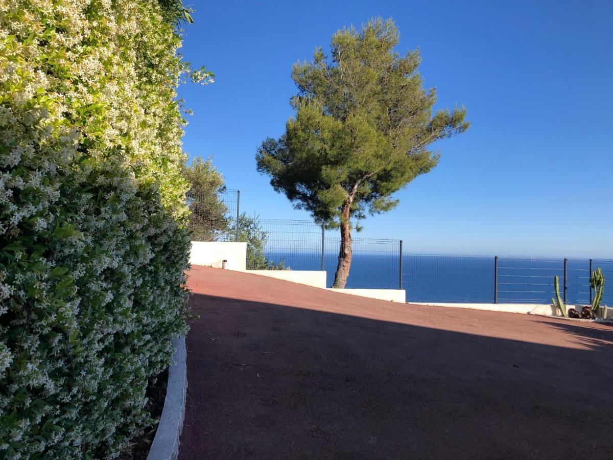 Vue mer.Tranquilité.Cap d'Ail à 10 mn de MONACO Cap-d'Ail Eksteriør bilde
